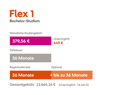 Flex 1 Bachelor-Studium: Monatliche Studiengebühr 379,56 €, Zahlungsdauer 36 Monate, Gesamtkosten 13.664,16 € (ursprünglich 16.164 €).