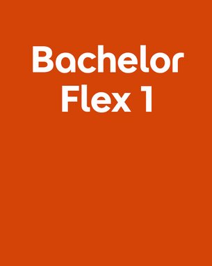 Bachelor Flex 1 in großer, fetter Schrift auf orangefarbenem Hintergrund.