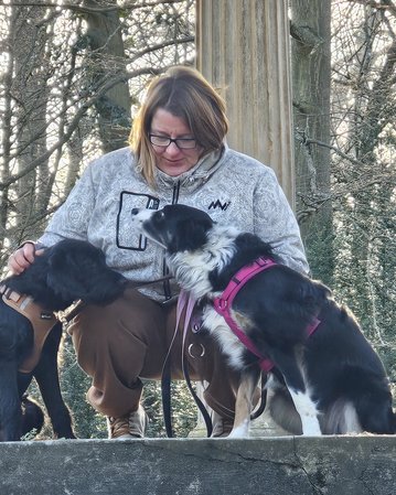 Eine Frau sitzt auf einer Mauer und streichelt zwei Hunde, während sie in einem Waldgebiet umgeben von Bäumen sind.