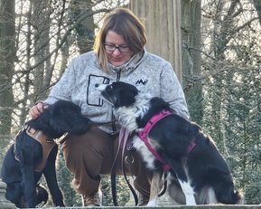Eine Frau sitzt auf einer Mauer und streichelt zwei Hunde, während sie in einem Waldgebiet umgeben von Bäumen sind.